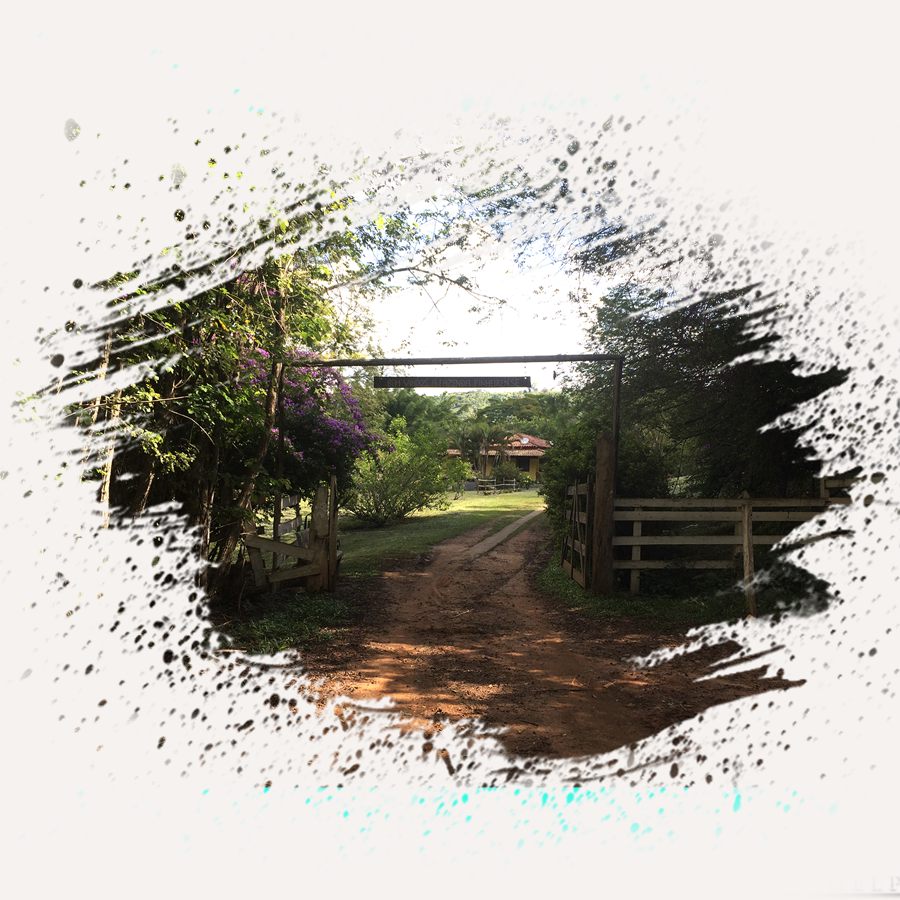 La tranquera y el camino de la Fazenda Pinheirense